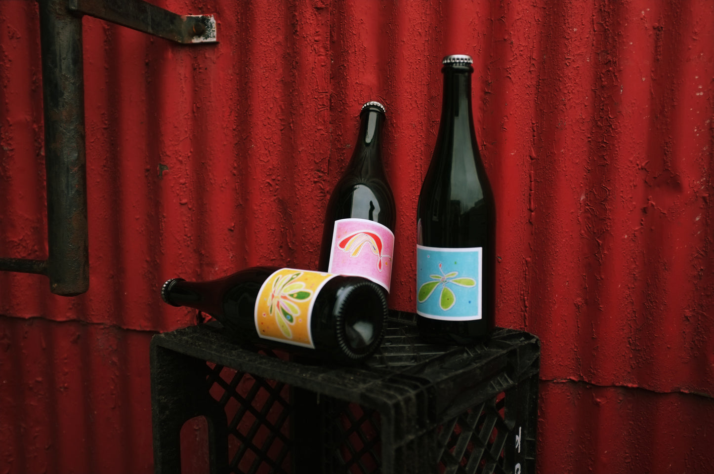 Caisse mixte de 6 cidres de pommes sauvages