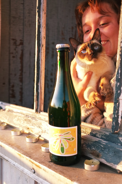 Caisse mixte de 6 cidres de pommes sauvages