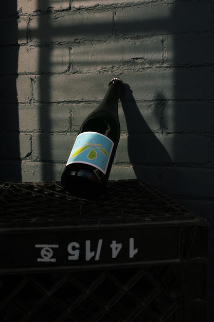 Cidre Palissade